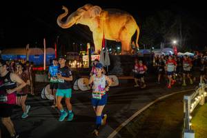 BIB: 
                            <button type="button" onclick="openModal(26552335)" class="btn btn-primary btn-sm float-right btn-popup" data-toggle="modal" data-target=".modal-high-quality">
                        <i class="fas fa-shopping-cart"></i> Add to Cart
                    </button>
                                            <button type="button" onclick="isThisMe(26552335, true)" class="btn btn-success btn-sm float-right btn-popup btn-isme hidden" data-toggle="tooltip" data-placement="bottom" title="นี่คือรูปของคุณใช่ไหม คลิกที่นี่เพื่อเอาเข้าอัลบั้ม">
                        <i class="fas fa-plus"></i> Add to album
                    </button>
                    <button type="button" onclick="isThisMe(26552335, false)" class="btn btn-warning btn-sm float-right btn-popup btn-isnotme hidden">
                        <i class="fas fa-ban"></i> Remove from album
                    </button>